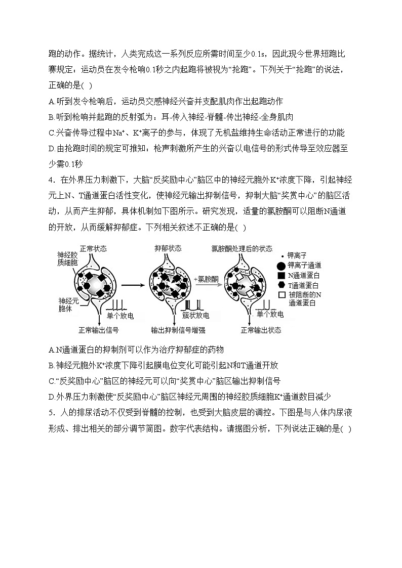 安徽省淮北市第一中学2023-2024学年高二上学期第三次月考生物试卷(含答案)第2页
