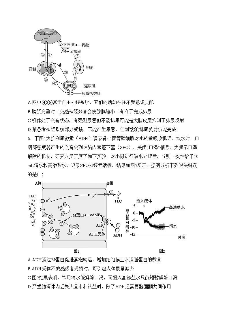 安徽省淮北市第一中学2023-2024学年高二上学期第三次月考生物试卷(含答案)第3页