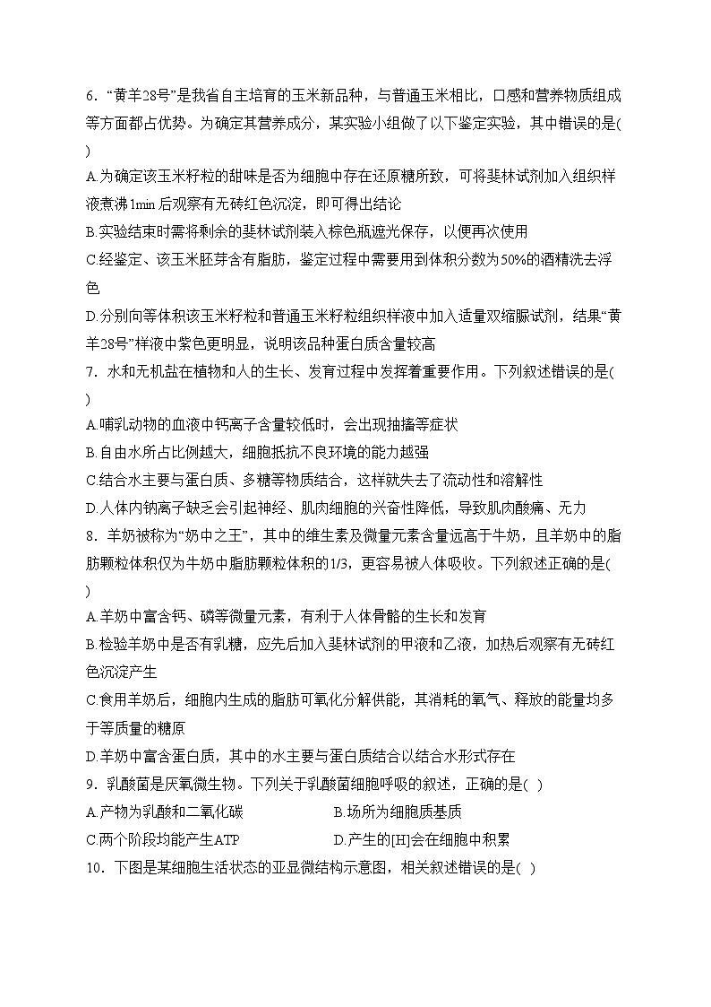 宜宾市叙州区第二中学校2023-2024学年高一上学期1月期末考试生物试卷(含答案)第2页