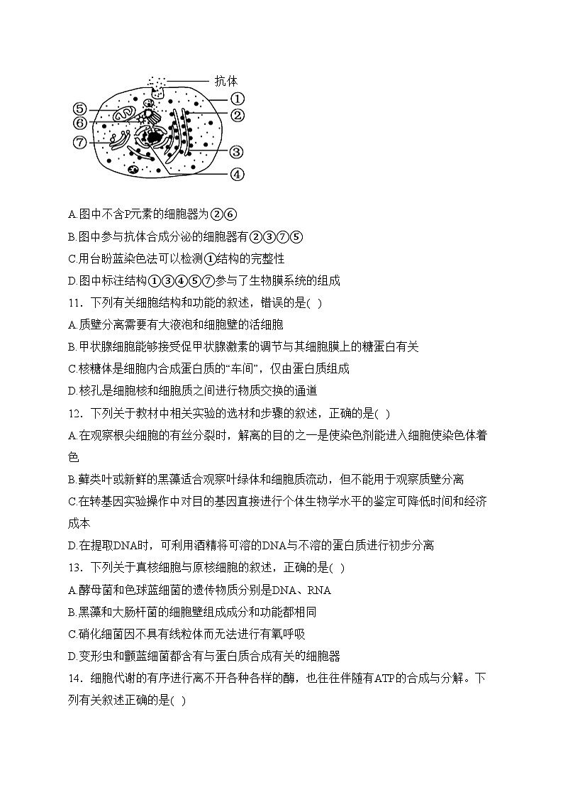 宜宾市叙州区第二中学校2023-2024学年高一上学期1月期末考试生物试卷(含答案)第3页