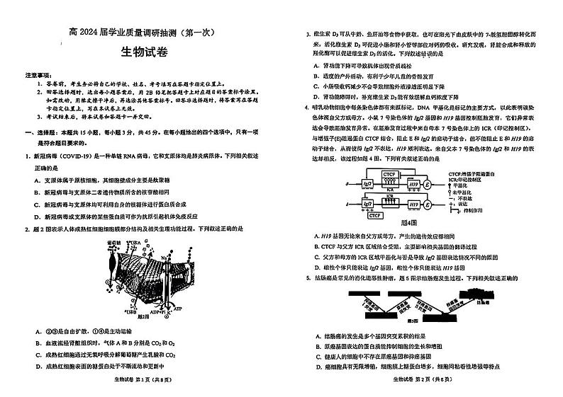2024届重庆市主城区高三上学期学业质量调研抽测(第一次)生物试题01