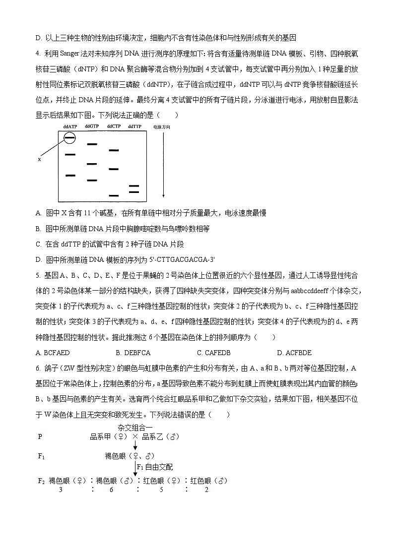 精品解析：山東省濟(jì)南市2023-2024學(xué)年高三上學(xué)期期末學(xué)習(xí)質(zhì)量檢測(cè)生物試題（原卷版）第2頁(yè)