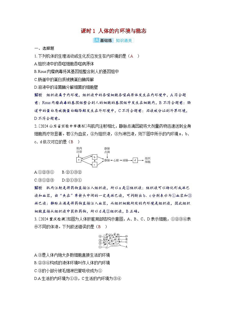 备考2024届高考生物一轮复习分层练习第八章动物和人体生命活动的调节课时1人体的内环境与稳态第1页