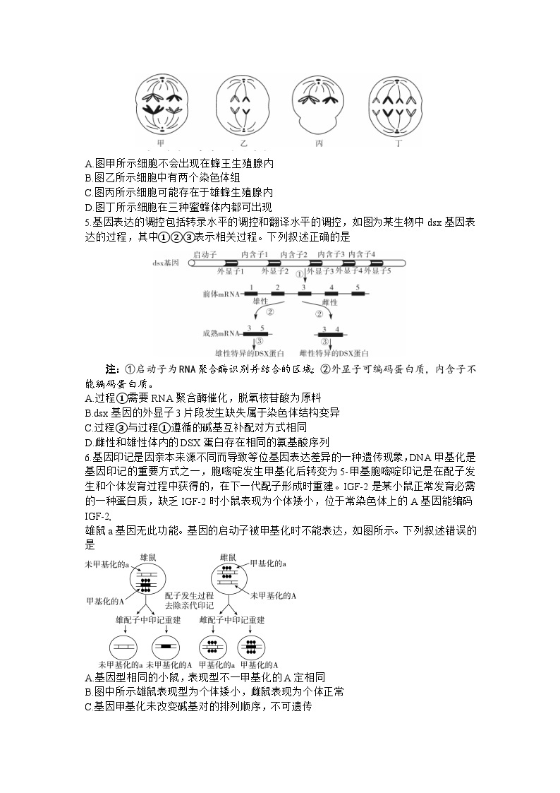 2024届湖南省邵阳市高三一模生物试题及答案02