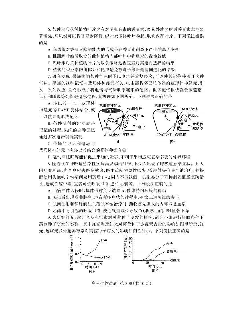 2024泰安高三上学期期末考试生物PDF版含答案03
