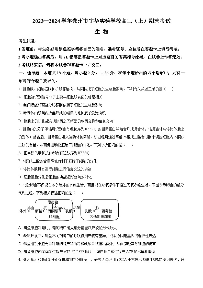 2024郑州宇华实验学校高三上学期1月期末考试生物含解析01