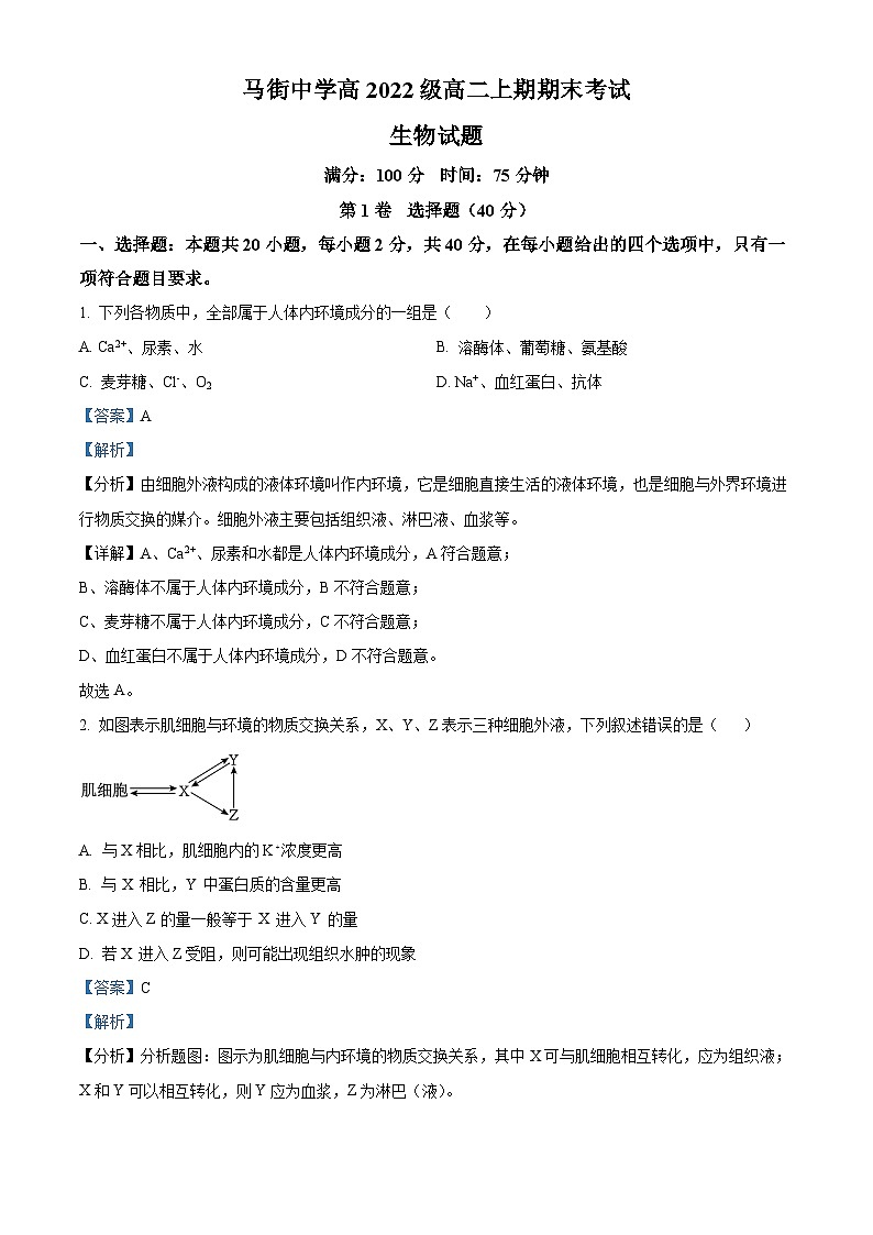 四川省泸州市合江县马街中学校2023-2024学年高二1月期末生物试题含解析第1页