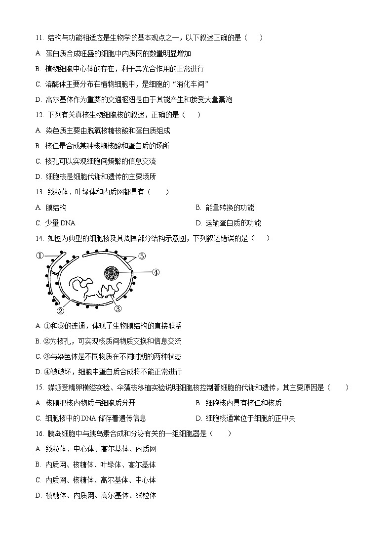 四川省峨眉第二中学2023-2024学年高一12月月考生物试题(原卷版)第3页