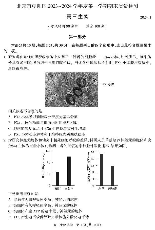 北京朝阳区2023-2024高三上学期期末生物试卷及答案第1页