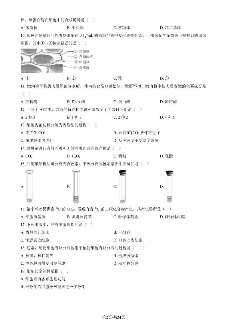 2023-2024学年北京昌平区高一上学期期末生物试题及答案02