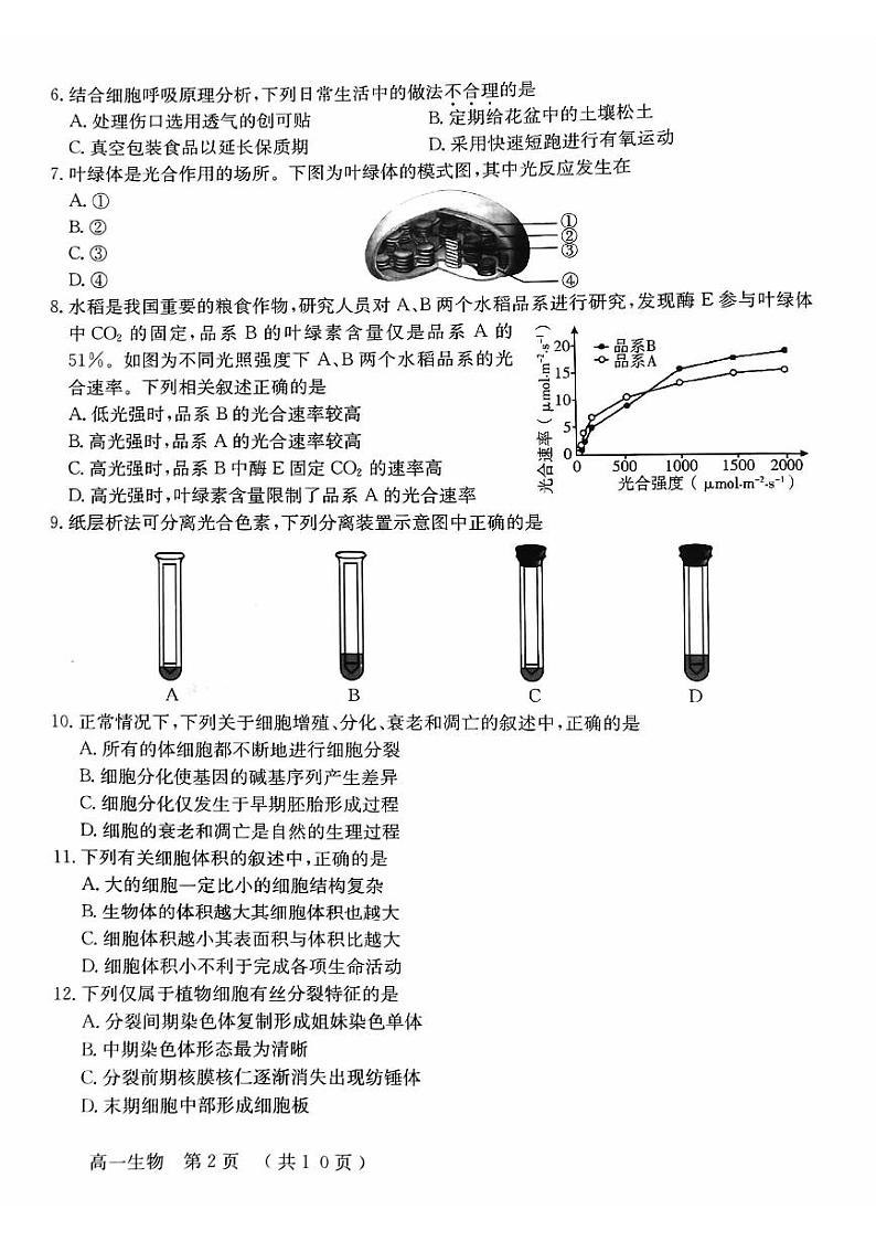 2023-2024学年北京怀柔区高一上学期期末生物试题及答案02