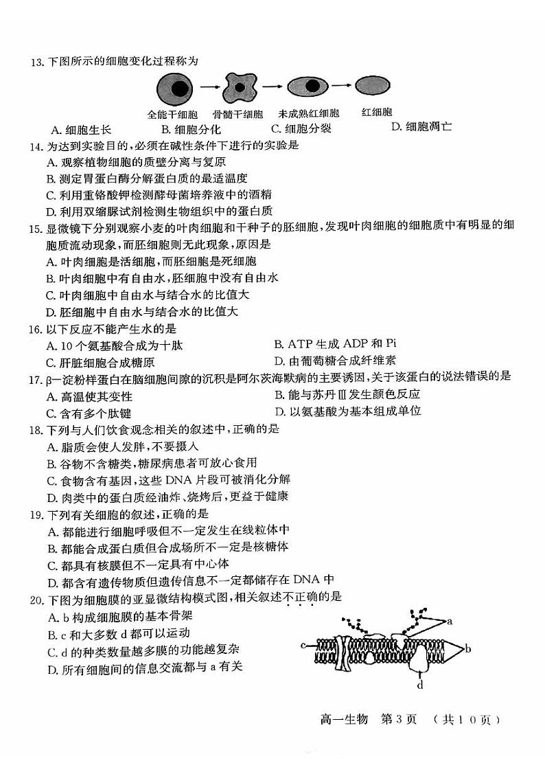 2023-2024学年北京怀柔区高一上学期期末生物试题及答案03