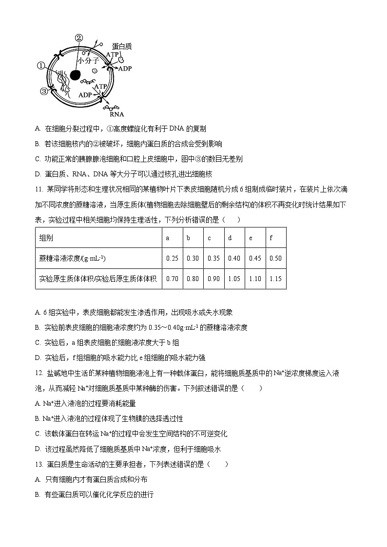 2024宜宾兴文二中高一上学期1月期末生物试题含解析03