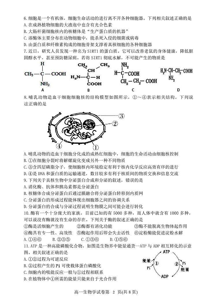 2024丹东高一上学期期末试题生物PDF版含答案第2页