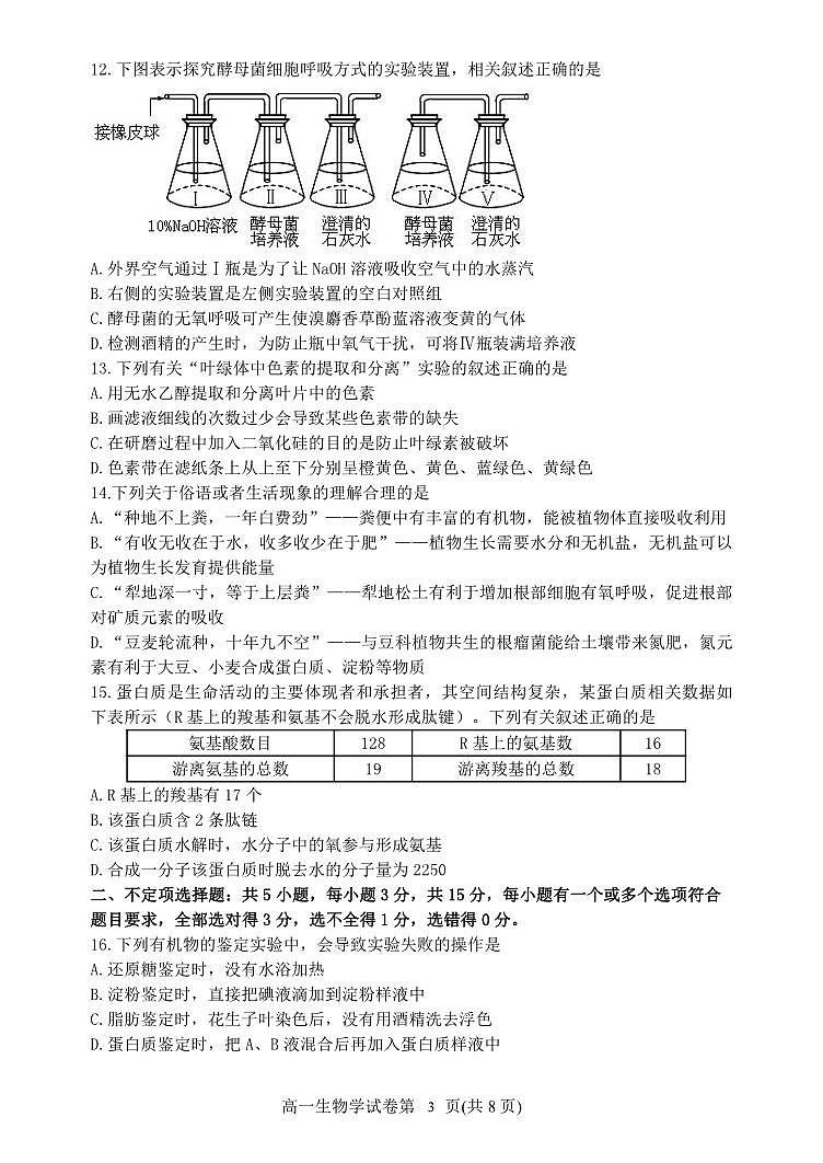 2024丹东高一上学期期末试题生物PDF版含答案第3页