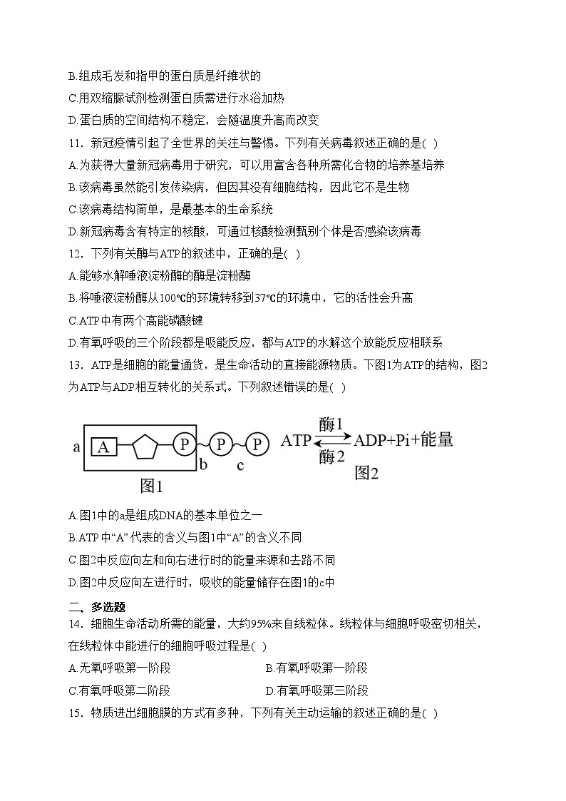 河北武强中学2023-2024学年高一上学期期末考试生物试卷(含答案)第3页