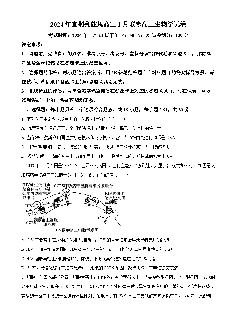 湖北省宜荊荊隨恩2023-2024學年高三1月期末聯(lián)考生物試題無答案第1頁