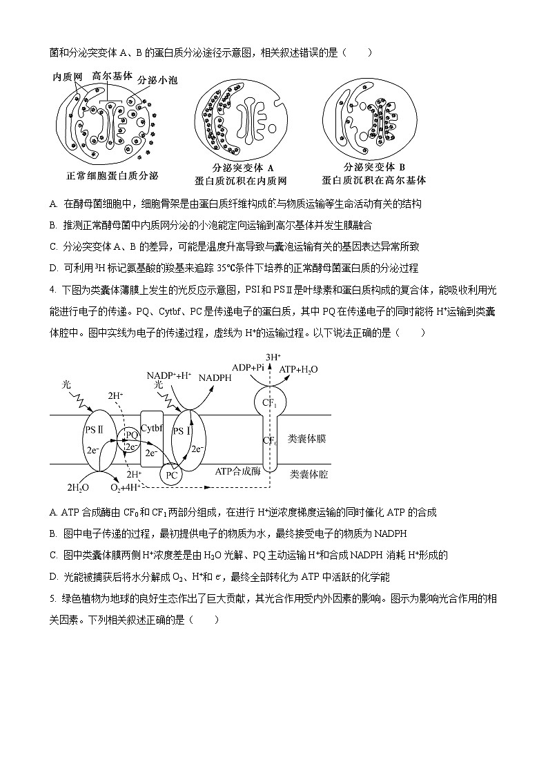 湖北省宜荊荊隨恩2023-2024學年高三1月期末聯(lián)考生物試題無答案第2頁