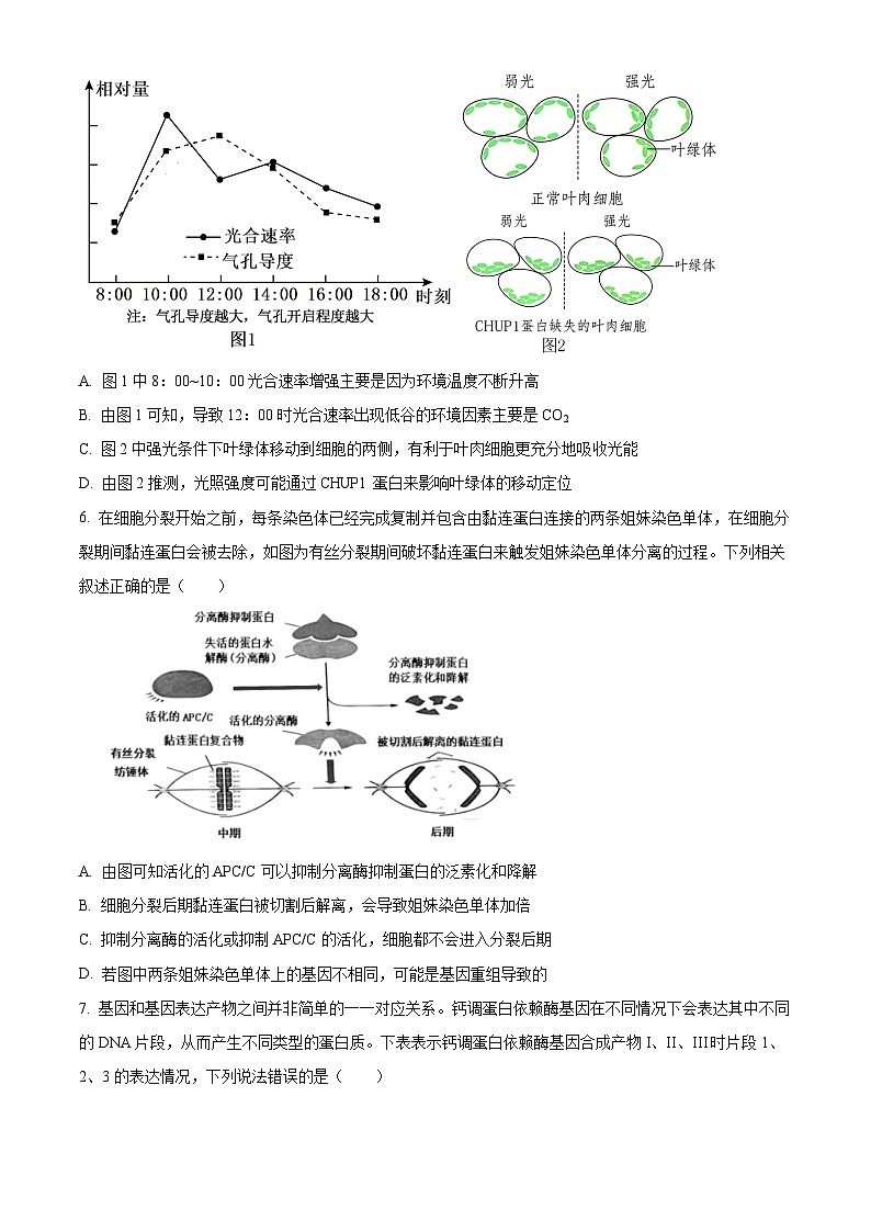 湖北省宜荊荊隨恩2023-2024學年高三1月期末聯(lián)考生物試題無答案第3頁