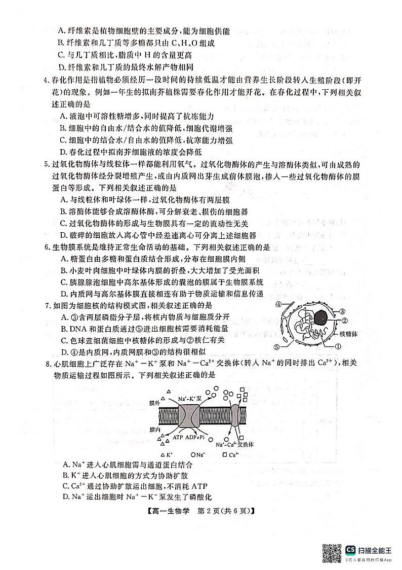 广西壮族自治区河池市2023-2024学年高一上学期1月期末生物学试题第2页
