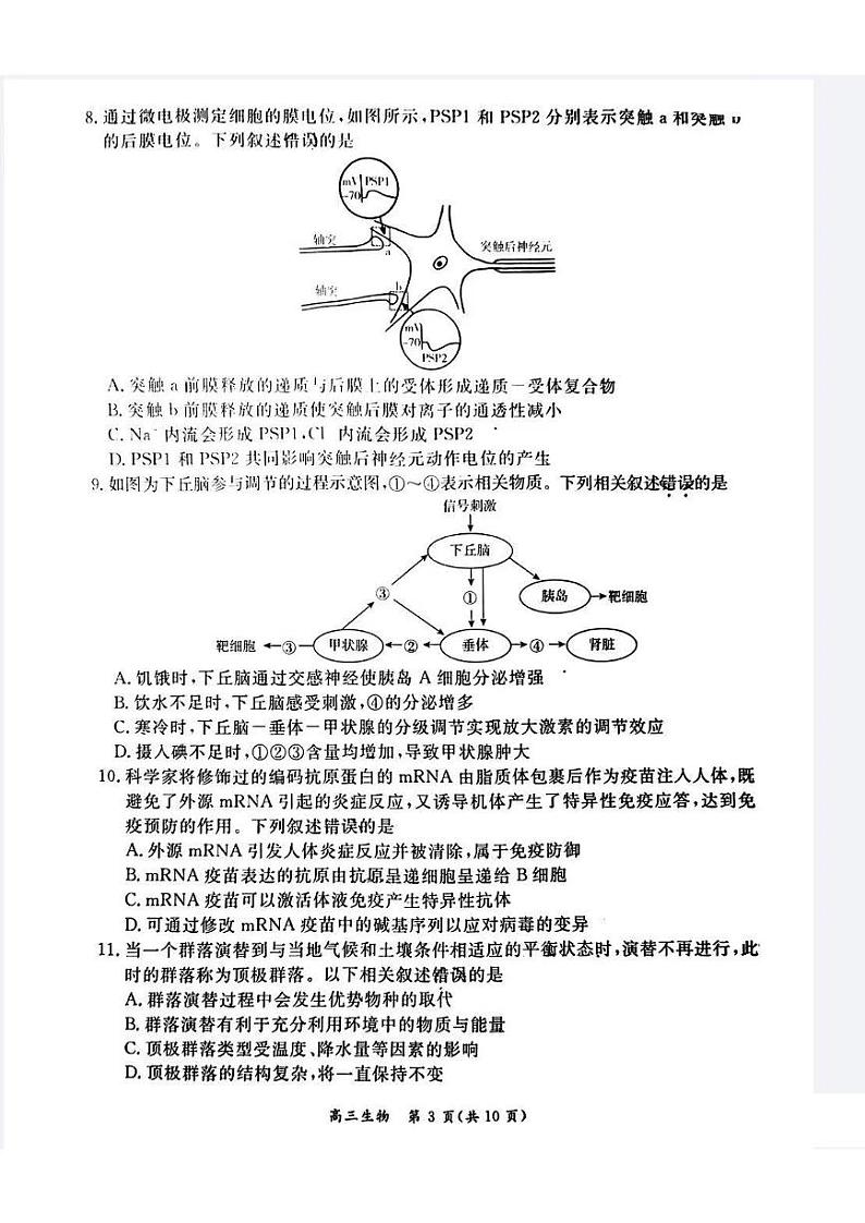 北京市东城区2024届高三上学期期末生物试卷及答案03