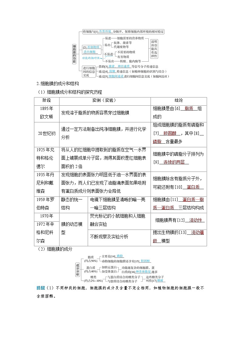 备考2024届高考生物一轮复习讲义第二章细胞的基本结构和物质的运输课时1细胞膜和细胞核的结构和功能考点1细胞膜的组成结构和功能02