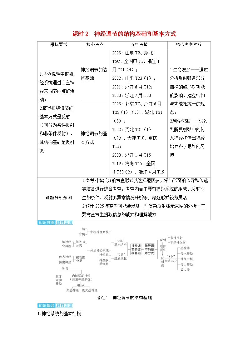 备考2024届高考生物一轮复习讲义第八章动物和人体生命活动的调节课时2神经调节的结构基础和基本方式考点1神经调节的结构基础