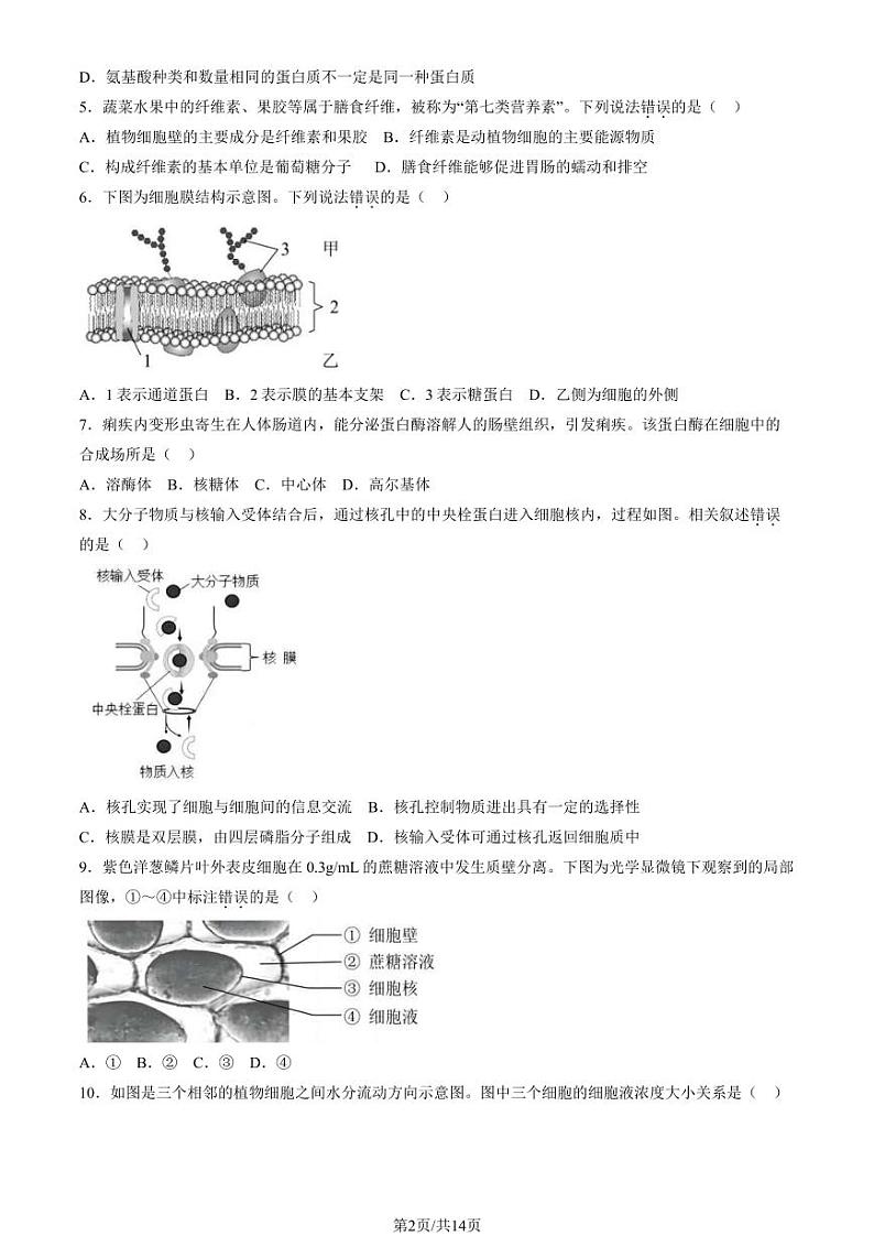北京丰台区2023-2024高一上学期期末生物试卷及答案第2页