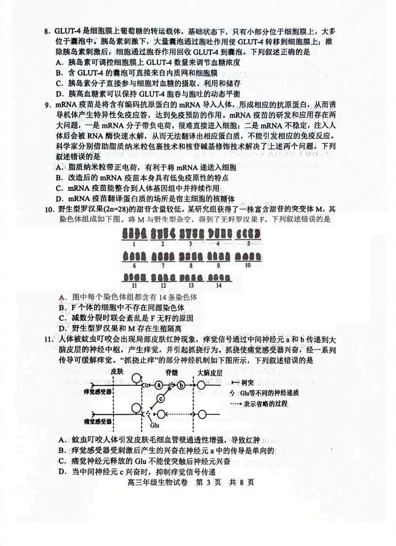 湖北省武汉市武昌区2023-2024学年高三上学期期末质量检测生物试题第3页