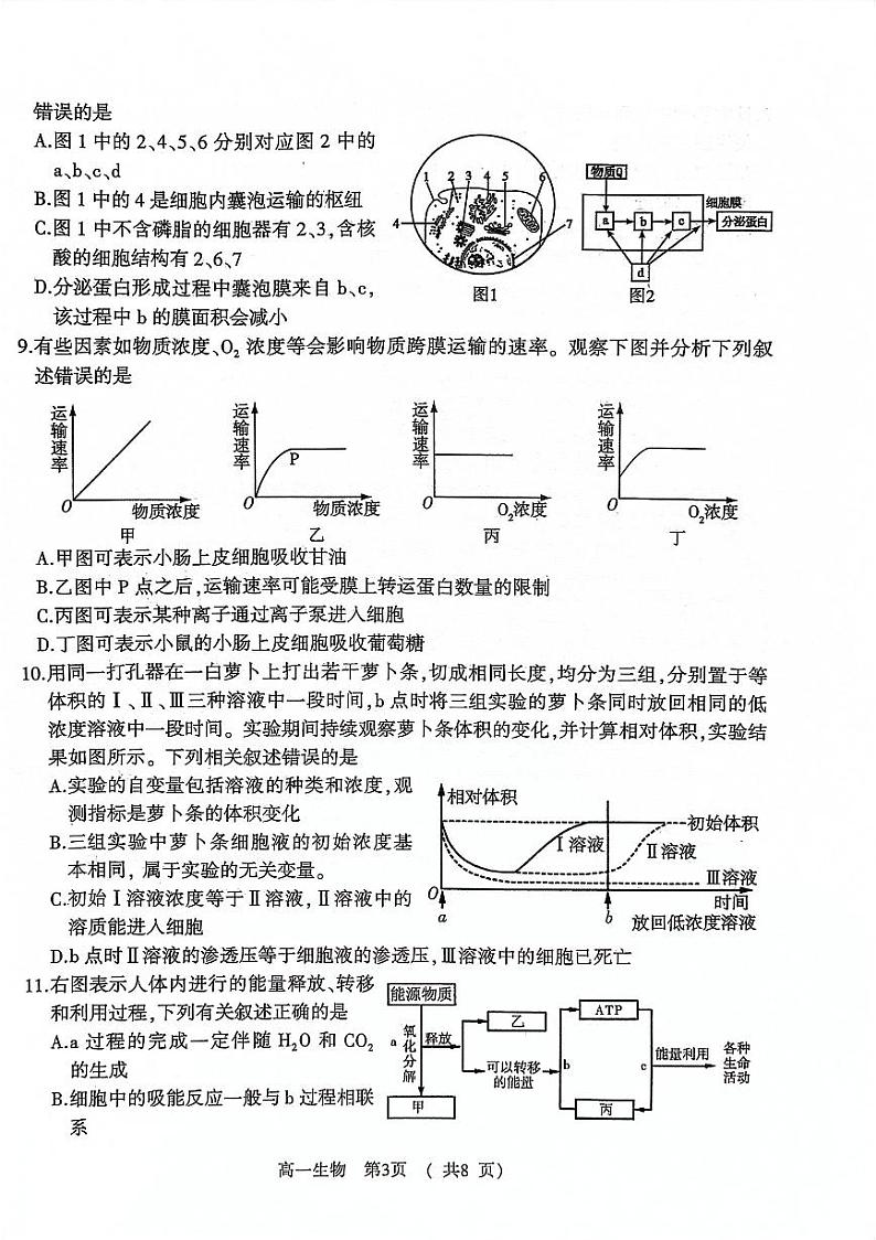 河南省驻马店市2023-2024学年高一上学期期末考试生物试题第3页