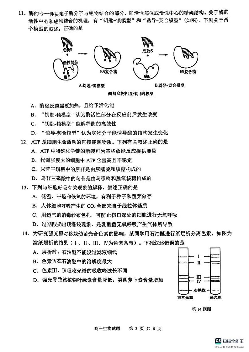 安徽省安庆市2023-2024学年高一上学期1月期末生物试题03