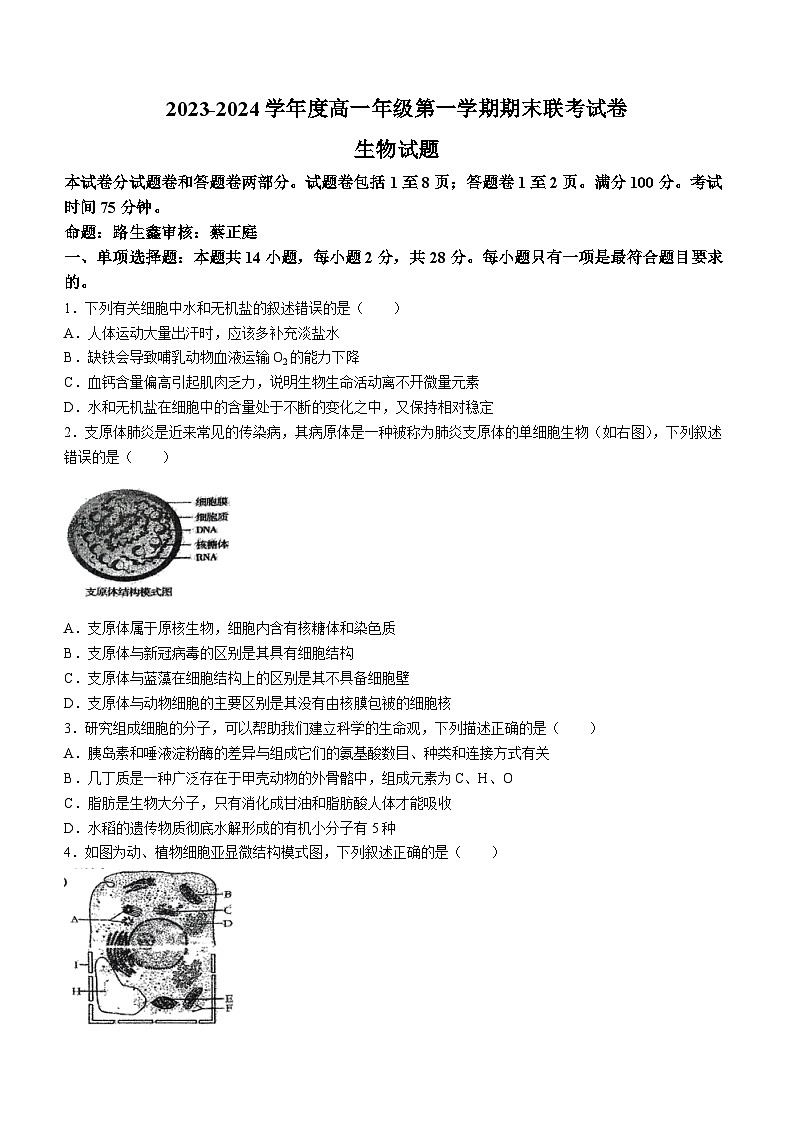江苏省盐城市一中等三校2023-2024学年高一上学期期末联考生物试题(无答案)第1页