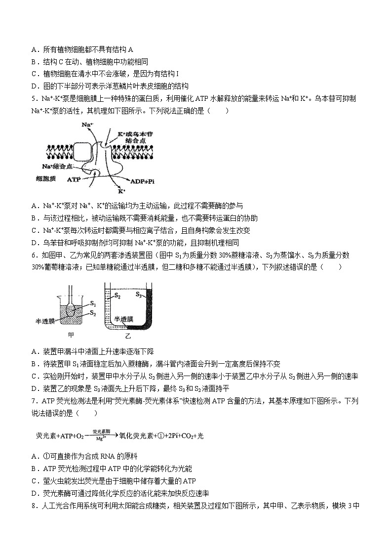 江苏省盐城市一中等三校2023-2024学年高一上学期期末联考生物试题(无答案)第2页
