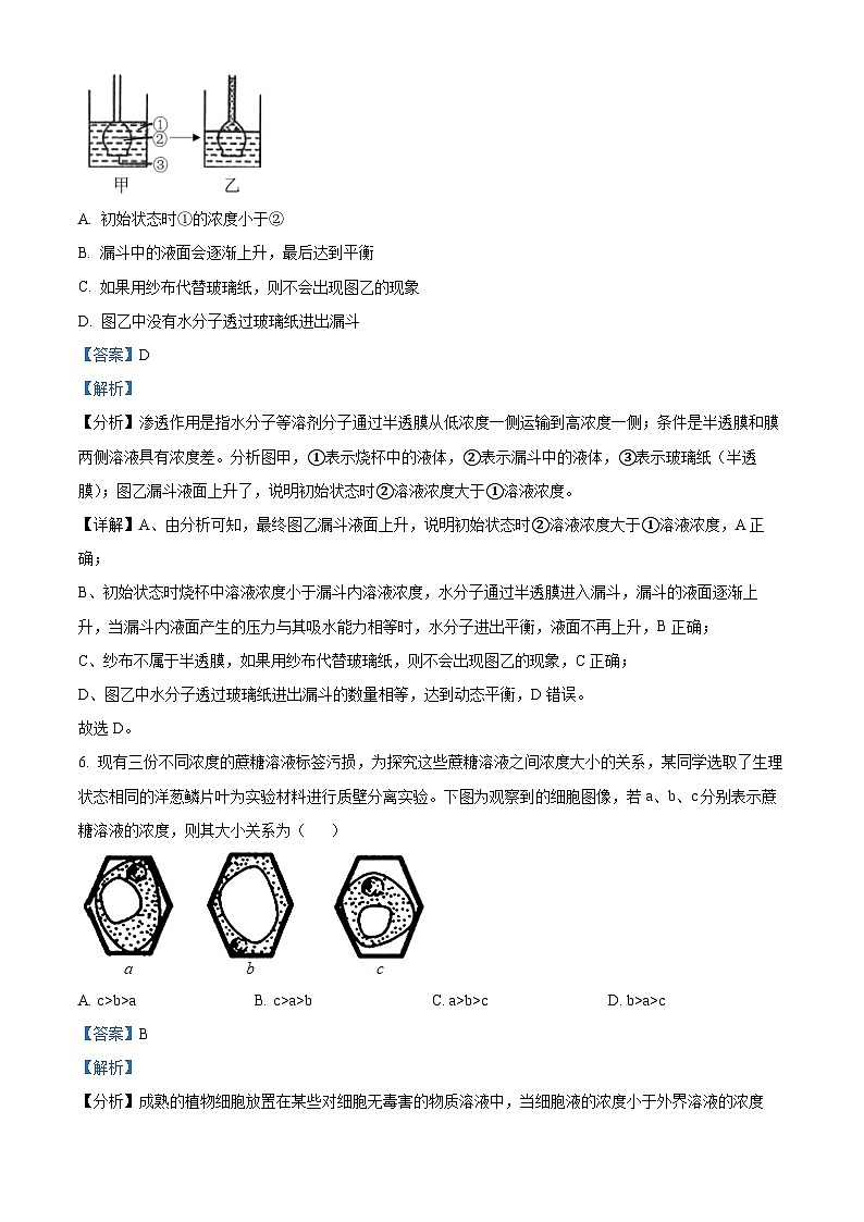 35,宁夏回族自治区银川一中2023-2024学年高一上学期期末生物试题03