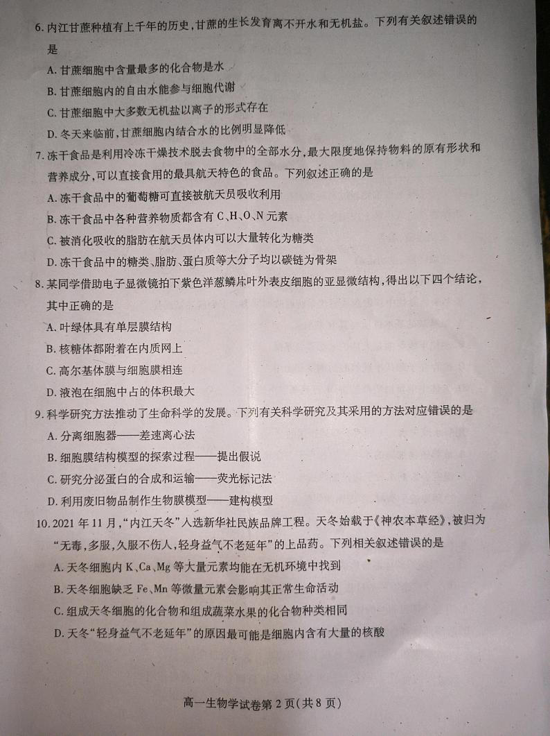 18,四川省内江市2023-2024学年高一上学期1月期末生物试题第2页