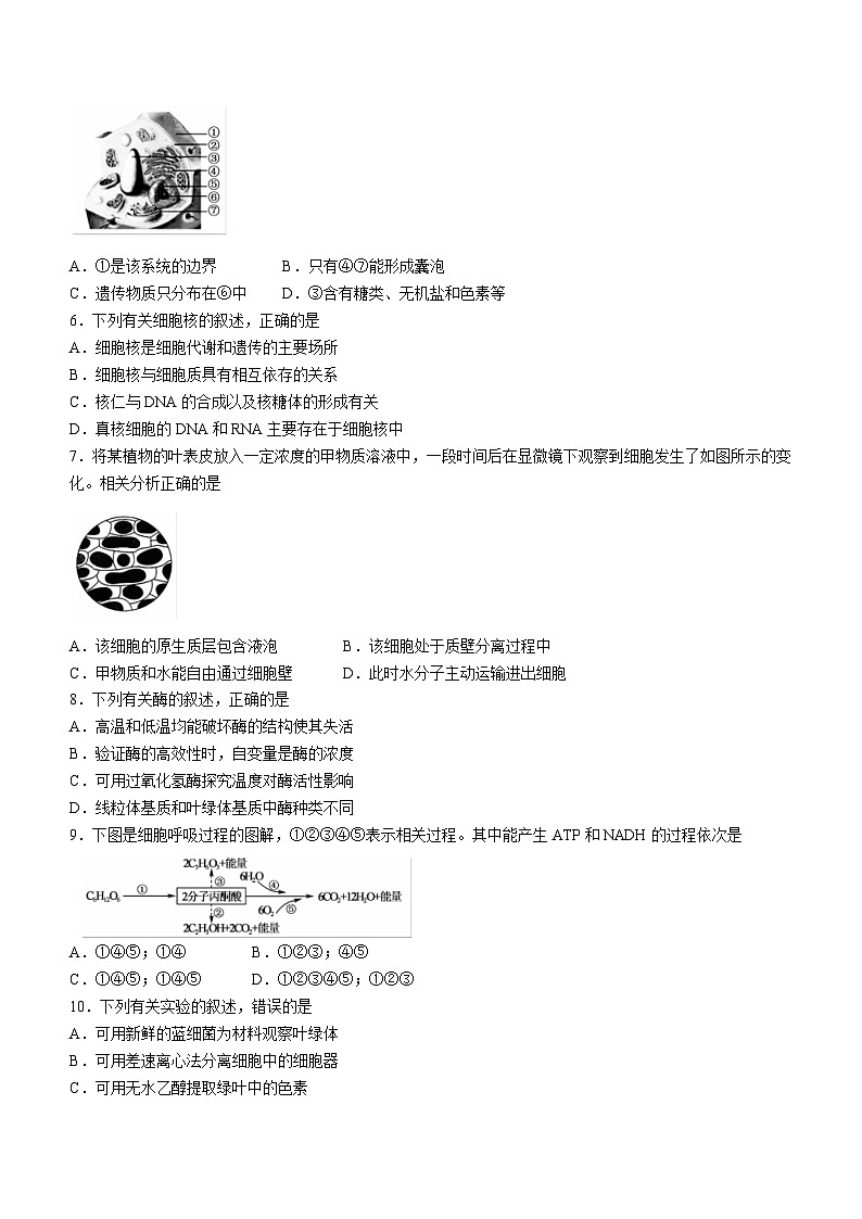25,广东省茂名市高州市四中2023-2024学年高一上学期期末模拟生物试题第2页