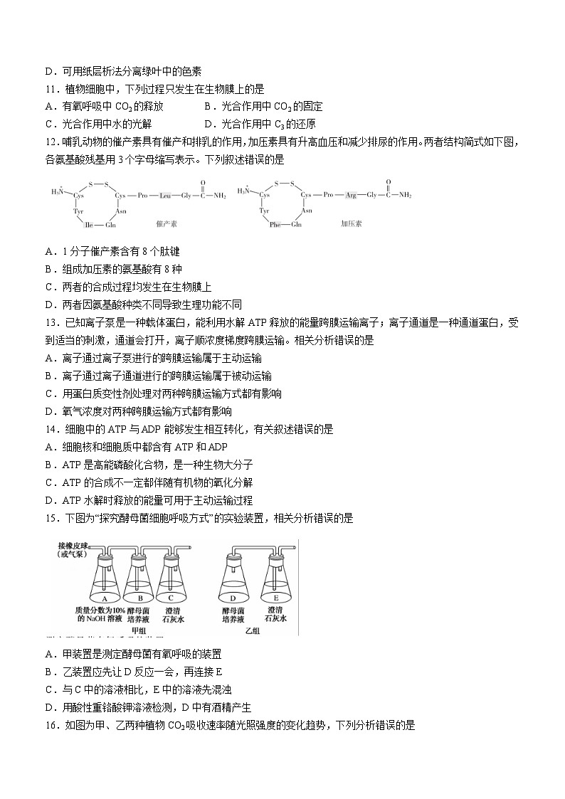 25,广东省茂名市高州市四中2023-2024学年高一上学期期末模拟生物试题第3页