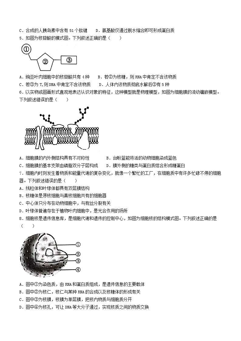 2024六盘水高一上学期1月期末质量监测试题生物含答案第2页