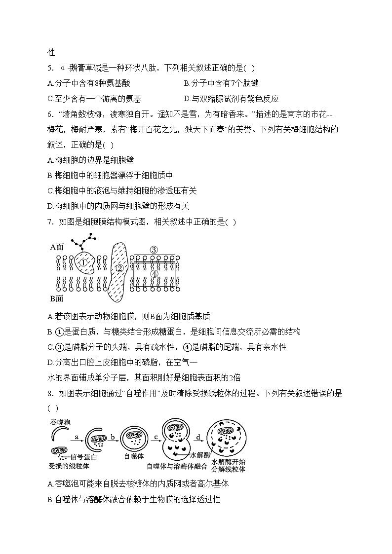 博白县中学2023-2024学年高一上学期12月月考生物试卷(含答案)第2页