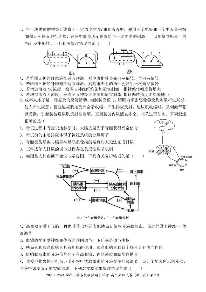 湖北省云学名校联盟2023-2024学年高二上学期期末联考生物试题第2页