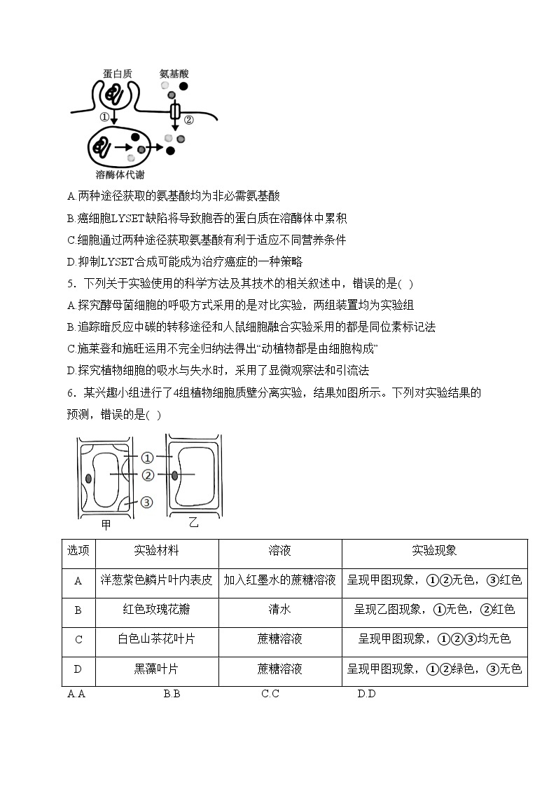 福建省龙岩第一中学2023-2024学年高一上学期第三次月考生物试卷(含答案)02