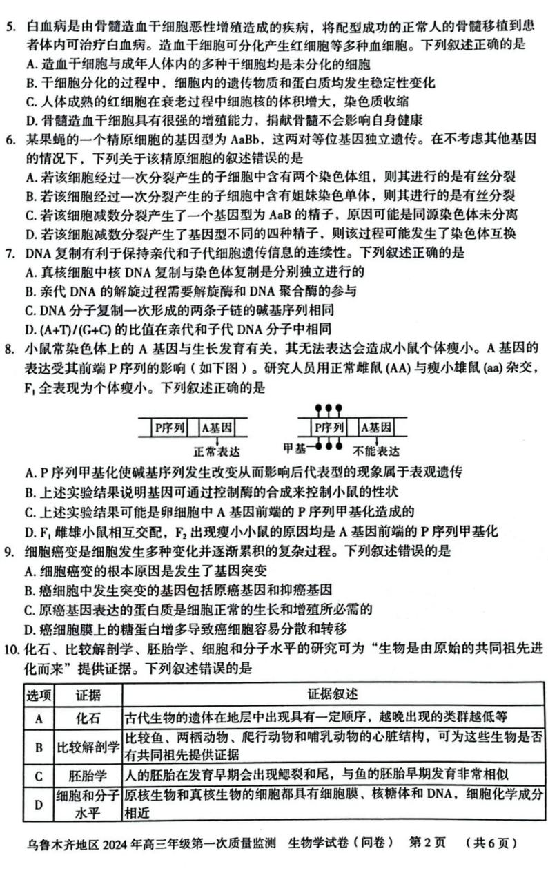 乌鲁木齐市2024年高三第一次质量监测（一模）生物试题和答案02