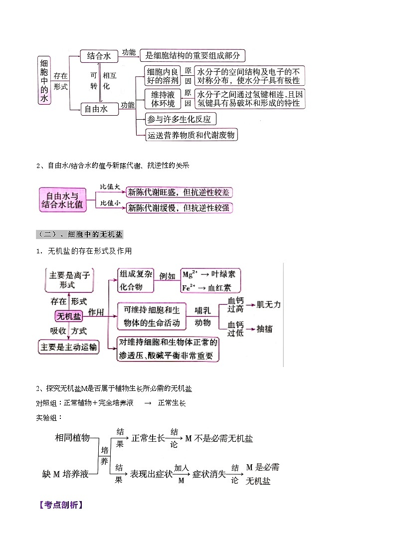 第01講 組成細(xì)胞的分子(教師卷)-【寒假銜接講義】高一生物寒假講義練習(xí)第3頁(yè)