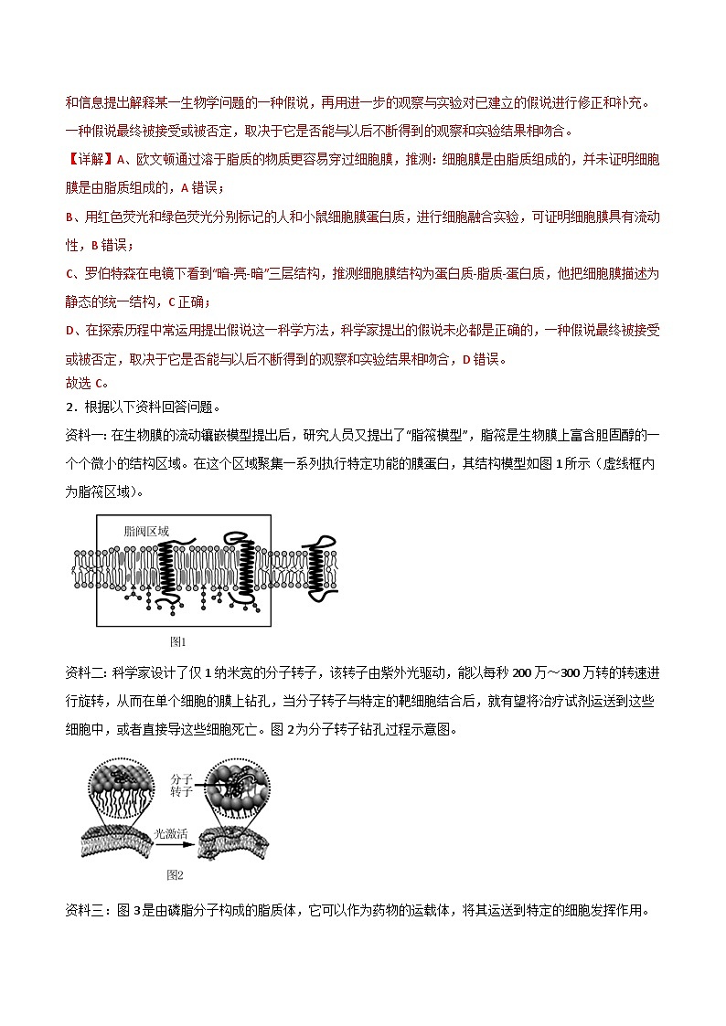 第02講 細(xì)胞膜的成分、結(jié)構(gòu)、功能和物質(zhì)出入細(xì)胞（教師卷）-【寒假銜接講義】高一生物寒假講義練習(xí)第2頁