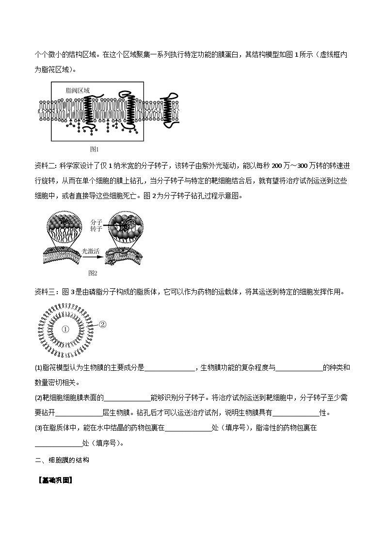 第02講 細(xì)胞膜的成分、結(jié)構(gòu)、功能和物質(zhì)出入細(xì)胞（學(xué)生卷）-【寒假銜接講義】高一生物寒假講義練習(xí)第2頁