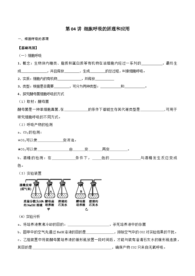 第04讲 细胞呼吸的原理和应用-【寒假衔接讲义】高一生物寒假讲义练习01