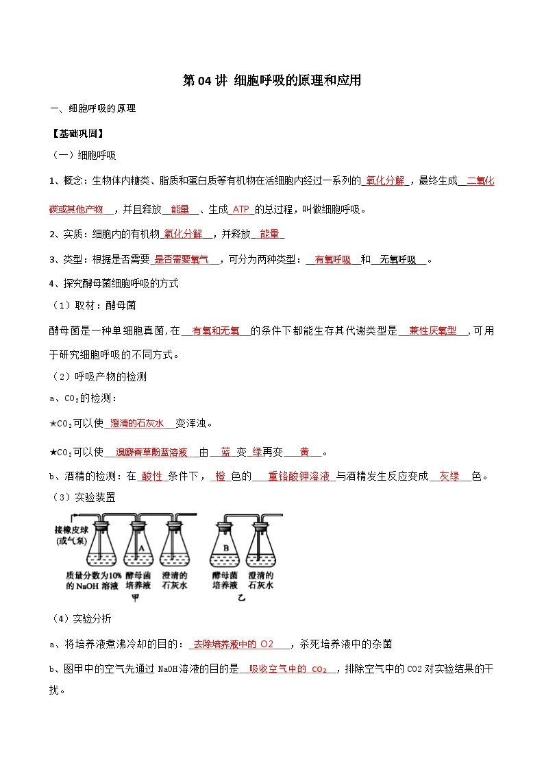 第04讲 细胞呼吸的原理和应用-【寒假衔接讲义】高一生物寒假讲义练习01