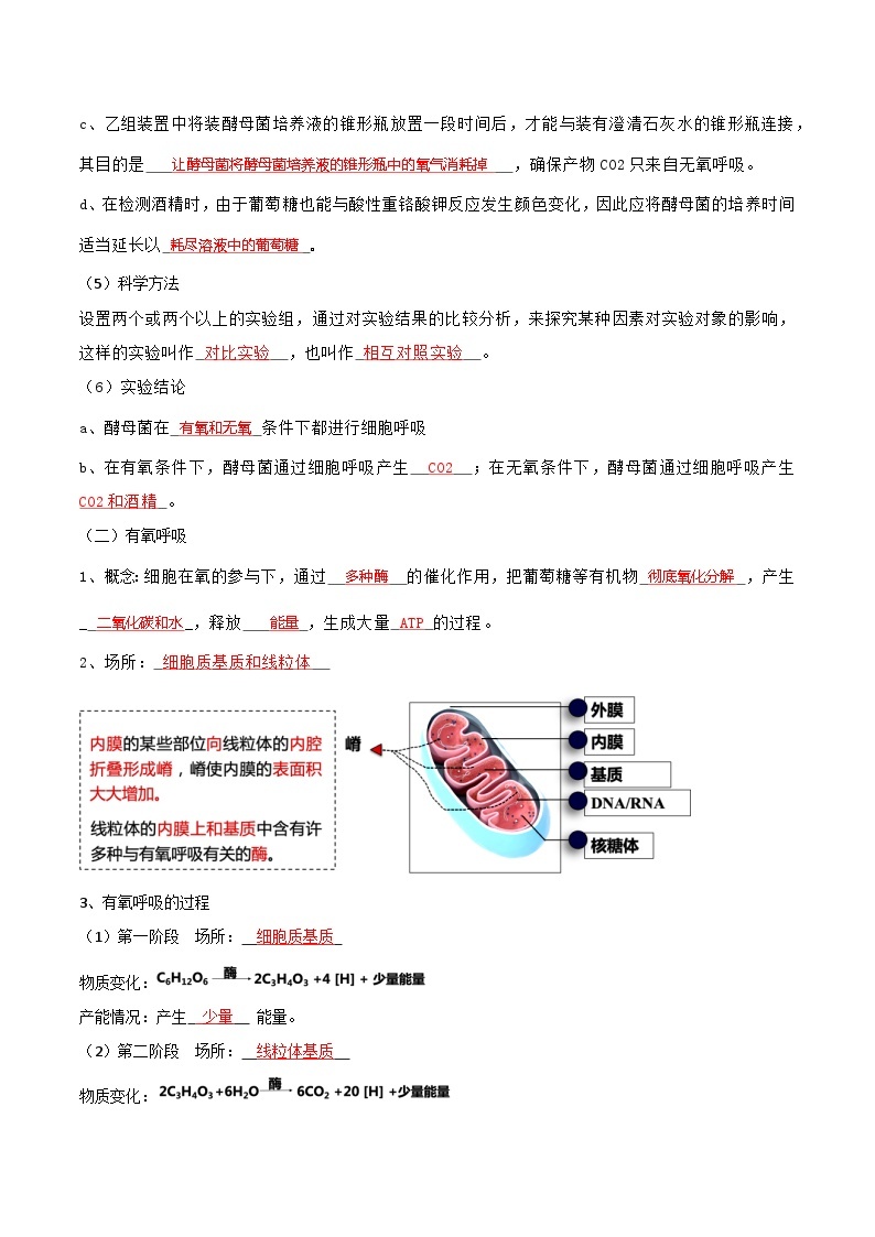 第04讲 细胞呼吸的原理和应用-【寒假衔接讲义】高一生物寒假讲义练习02