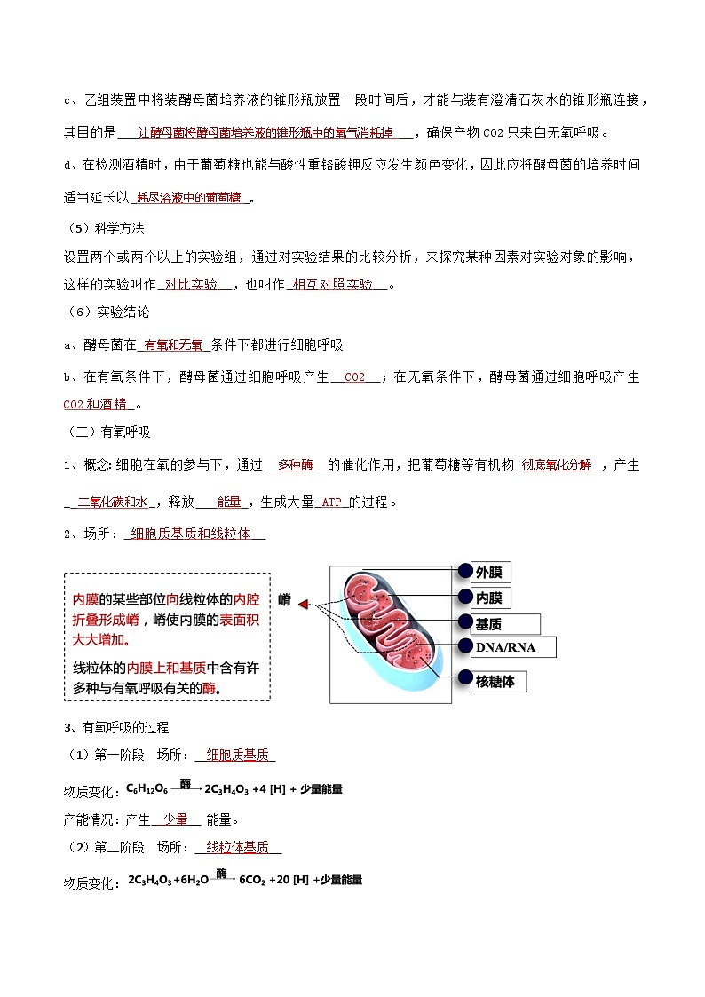 第04講 細(xì)胞呼吸的原理和應(yīng)用(教師卷)-【寒假銜接講義】高一生物寒假講義練習(xí)第2頁