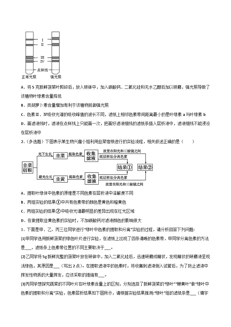第05講 光合作用及光合呼吸的聯(lián)系（學(xué)生卷）-【寒假銜接講義】高一生物寒假講義練習(xí)第3頁
